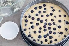 Saftiger Heidelbeerkuchen mit Joghurt