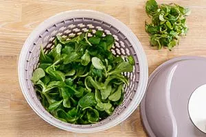 Feldsalat waschen und säubern.
