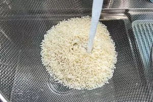 Reis gründlich mit Wasser waschen