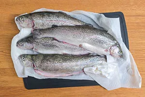 Forellen abspülen und abtupfen