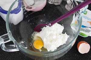 Quark, Ei, Zucker und Salz in eine Schüssel geben.