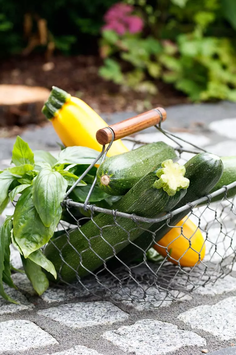 Zutaten für Zucchini-Pasta