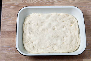 Focaccia-Teig in die Auflaufform legen