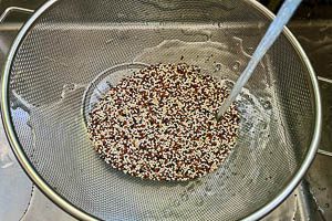 Quinoa im Sieb gründlich waschen