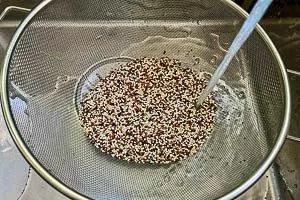 Quinoa im Sieb gründlich waschen