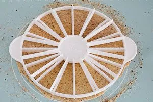 Mit Torteneinteiler Teig in 16 St&uuml;cke teilen und Schnittstelle markieren