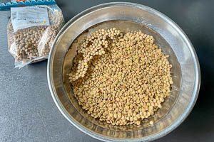 Linsen in eine Schüssel mit Wasser geben, nach Belieben Natron hinzufügen, Linsen für 6 Stunden quellen lassen.