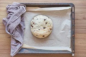 Teig durchkneten, zu einem Laib formen und abgedeckt nochmal eine halbe Stunde gehen lassen