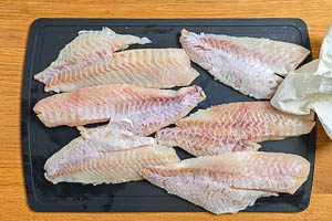 Fischfilets mit Küchenpapier trockentupfen