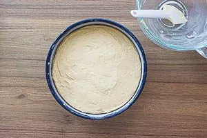 Teig in die Springform geben.