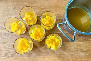 Fruchtpudding auf die Fruchtw&uuml;rfel geben