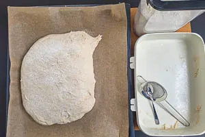 Teig auf Backblech mit Backpapier geben und bemehlen