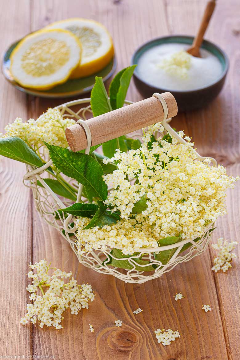 Zutaten für Holunderblütensirup