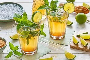Schon kannst du deinen Virgrin Mojito zu Hause genie&szlig;en.