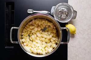 Zitronensaft zu den &Auml;pfeln geben